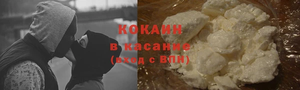 шишки Алзамай