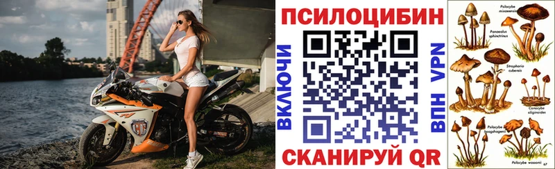 blacksprut ссылка  мориарти формула  Галлюциногенные грибы мицелий  Муравленко 